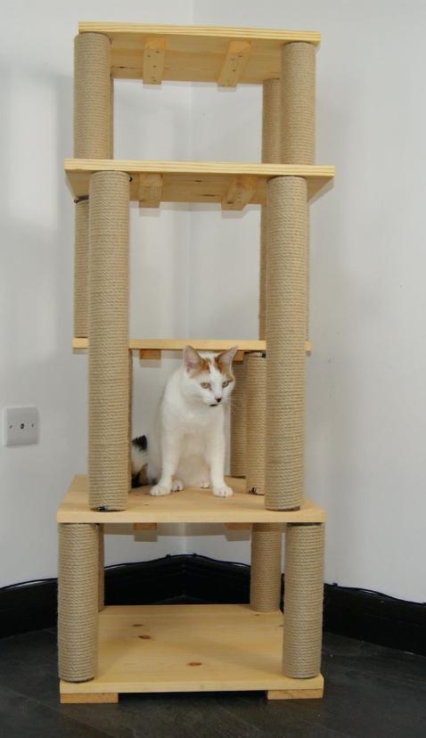 Cat climbing towers cat-climbing-towers